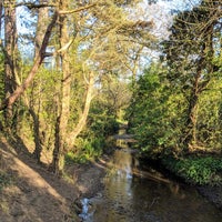 Photo taken at Petts Wood Woods by Karl B. on 4/19/2019
