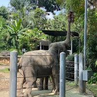 Photo taken at Elephants of Asia by Genesis D. on 12/28/2021