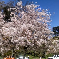 Photos At Music Concourse Garage Lot 339 Golden Gate Park