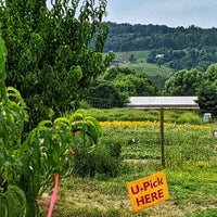 Photo taken at Great Country Farms by Hassan A. on 7/31/2021