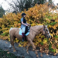 Das Foto wurde bei Southlands Riding Club von Nicole D. am 10/26/2017 aufgenommen