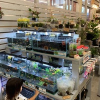 グッデイ 大野城店 御笠川6 8 1