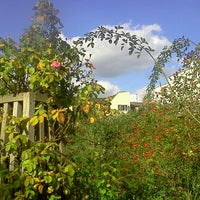 Photo taken at Comenius-Garten by Eva on 9/30/2012