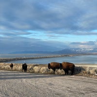 Photo taken at Antelope Island State Park by Vincent on 3/8/2022