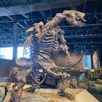 Photo prise au Natural History Museum of Utah par Vincent le3/11/2022