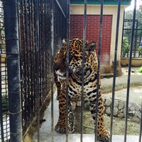 Photo taken at Bakı Zooparkı / Baku Zoo by Mahmut U. on 4/16/2016