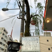 見返り柳 1 Dica