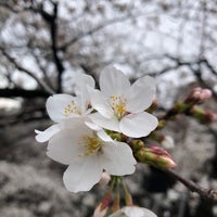 Photo taken at 面影橋 by 椿 三. on 3/21/2023