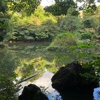 Photo taken at Sanshiro Pond by 椿 三. on 10/21/2023
