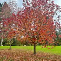 Das Foto wurde bei Royal Botanic Gardens von Doddy am 5/21/2024 aufgenommen