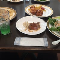 パームツリー 厚木市 神奈川県