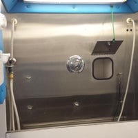 dog gone clean mobile pet grooming