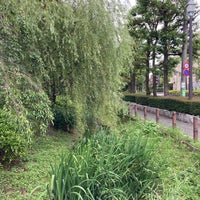 Photo taken at 丸子川親水公園 by (´-ω-`) on 6/5/2021