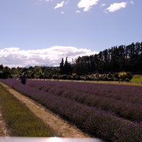 Photo taken at Wanaka Lavender Farm by Peggy A. C. on 3/9/2023
