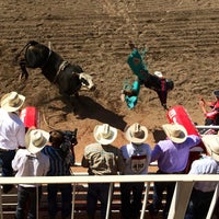 Photo taken at Calgary Stampede Infield by Stefanie on 7/11/2014