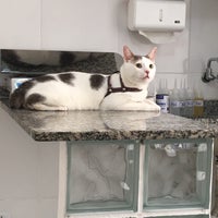 Foto scattata a CAT para Gatos da Pri il 9/22/2018