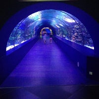 Photo taken at Antalya Aquarium by Svetlana S. on 5/14/2013