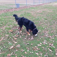 Photo taken at Grant Park Dog Field by Abby L. on 12/29/2013