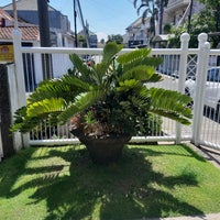 Review Napoli Cake & Ice Cream (Kue & Es Krim)