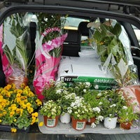 De Plantenhal Bergschenhoek Zuid Holland