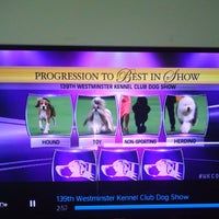 Photo taken at 136th Westminster Kennel Club Dog show by Burney T. on 2/17/2015