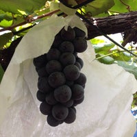 石井テル園 鎌ヶ谷市 0 Tips