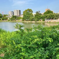 Photo taken at 万代池公園 by ひらたけ on 5/27/2023