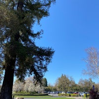 Photo taken at El Macero Country Club by Emily Snow C. on 3/12/2021