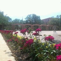 The Quad - Texas A&M University - College Station, TX
