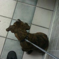 Photo taken at North Loop Pet Clinic by Ericka M. on 4/30/2012