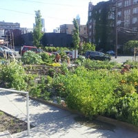 Photo taken at Community Garden by Jason J. on 5/14/2012