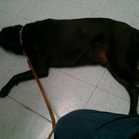 Photo taken at VCA Cross Pointe Animal Hospital by Trisha H. on 6/18/2012