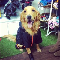 Das Foto wurde bei Wawaw, ropa para perros von Wawaw R. am 4/21/2012 aufgenommen