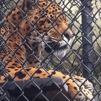 รูปภาพถ่ายที่ Elmwood Park Zoo โดย Andrea H. เมื่อ 3/4/2012