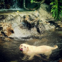 Photo taken at Hawaiian Humane Society Dog Park by Sam A. on 7/22/2012