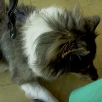Photo taken at Airport Cities Animal Hospital by CreoleTes on 9/30/2011