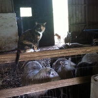 รูปภาพถ่ายที่ Ash Mill Farm Bed &amp;amp; Breakfast โดย Nicole S. เมื่อ 8/14/2011