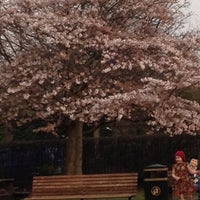 Photo taken at Primrose Hill Playground by 🇬🇧Лика🇷🇺 5. on 3/22/2012