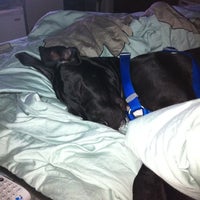 Maverick Animal Clinic Clinica Veterinaria Em Orange Park