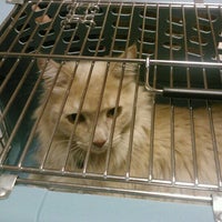 Photo taken at Healthy Paws Animal Hospital by Margot W. on 7/28/2012