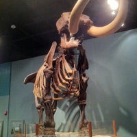 Photo taken at Museum Of Florida History by Mechelle S. on 7/16/2011