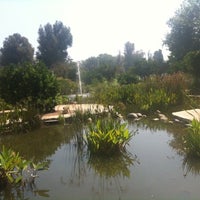 Photo taken at CSUN Fish And Duck Pond by Joel N. on 6/24/2011