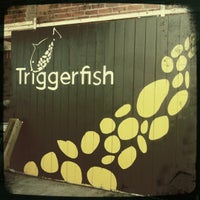4/13/2012 tarihinde Angie H.ziyaretçi tarafından Triggerfish Brewing'de çekilen fotoğraf