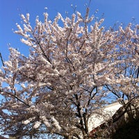 Photo taken at 東京都立 目黒高等学校 by 和彦 石. on 4/12/2012