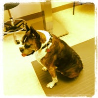 Photo taken at seattle natural veterinary clinic by Jennifer R. on 6/6/2012