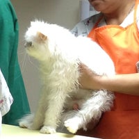 Photo taken at โรงพยาบาลสัตว์พระรามเก้า by Kathy S. on 7/3/2012