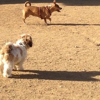 Photo taken at Arts District Dog Park by Marco C. on 2/4/2012
