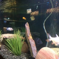Photo taken at The Aquarium on 6th by Christine on 3/10/2012