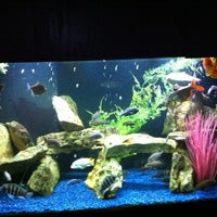 Review Snookie's Bar & Grill