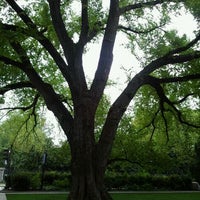 Photo taken at Under A Tree by Santi R. on 9/18/2011
